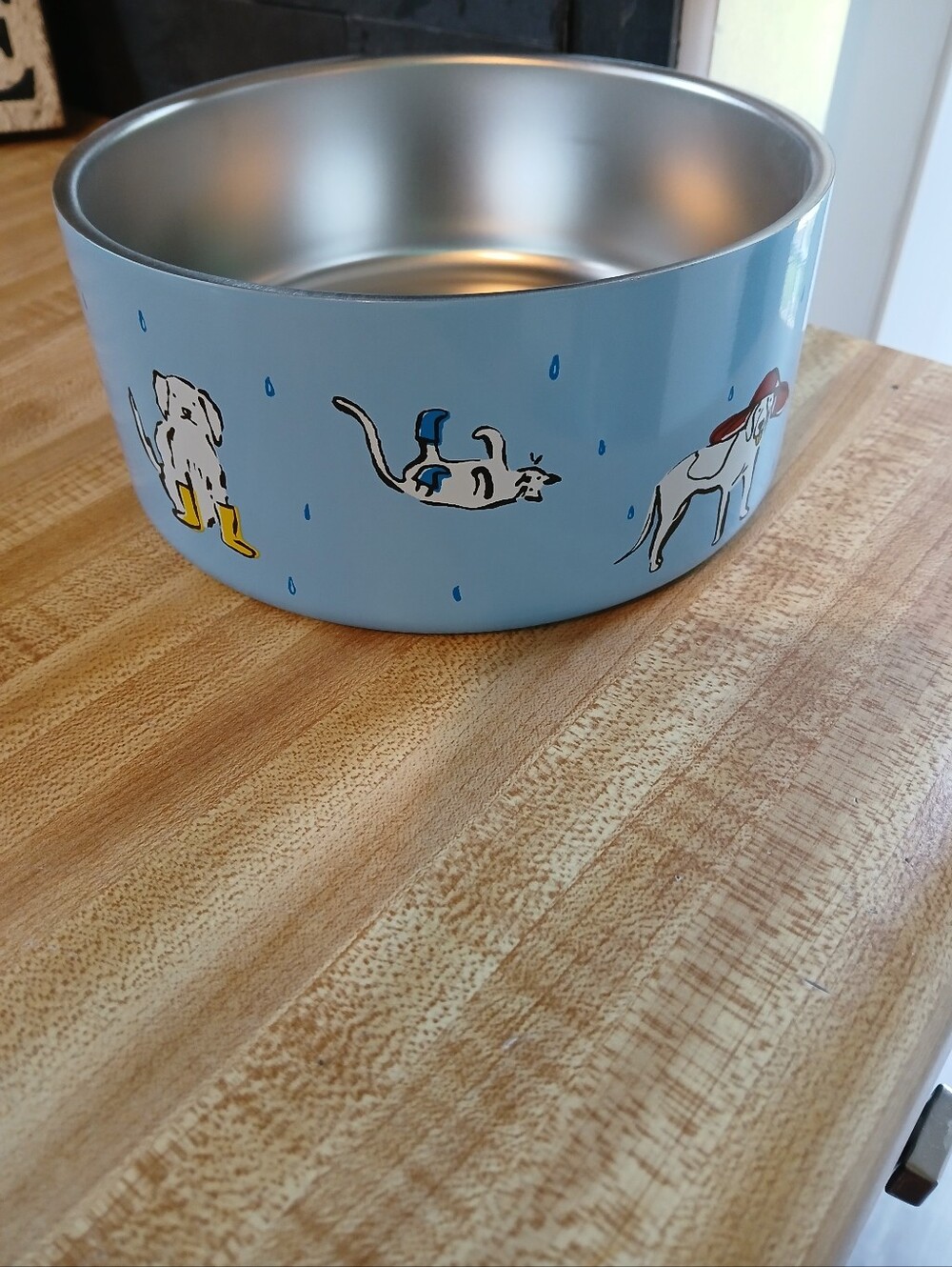 Kate Spade NIB Blue Dog Bowl For Small/Medium Dogs - Picture 4 of 6